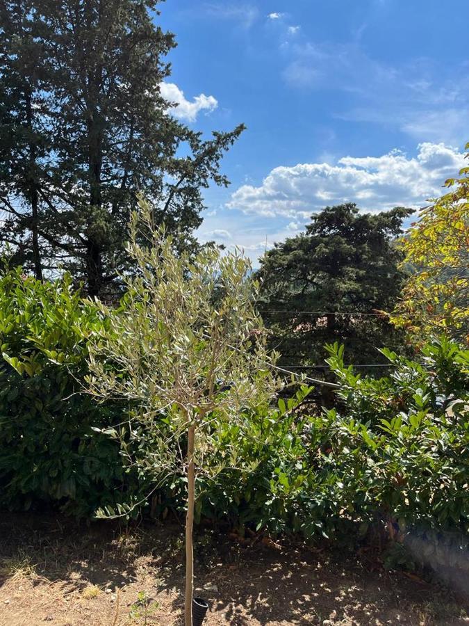 Casa Lastri Poppi Dış mekan fotoğraf